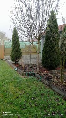 Foto - Einfamilienhaus in Ering zum Kaufen