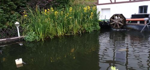 Foto - Einfamilienhaus zum Kaufen in Finnentrop