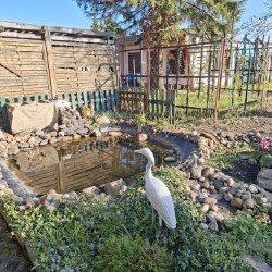 Foto - Pachtgarten in 39221 Bördeland OT Biere