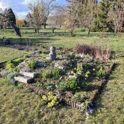 Foto - Grundst&uuml;ck in Bördeland