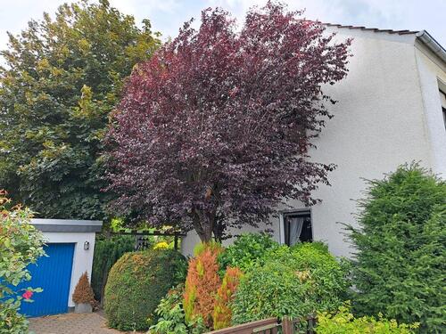 Foto - Reihenhaus in Jüchen zum Kaufen