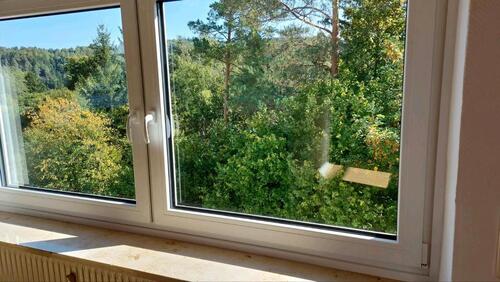 Foto - 2 Zimmerwohnung - 450,00 EUR Kaltmiete,