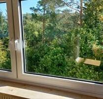 2 Zimmerwohnung - 450,00 EUR Kaltmiete, in Obertrubach (PLZ: 91286)