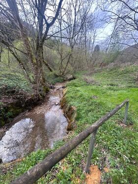 Foto - Winterpreis! 806qm Fluss-Grundstück mit Bärlauchwiesen