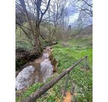 Winterpreis! 806qm Fluss-Grundstück mit Bärlauchwiesen - Albstadt Gemarkung Burgfelden Winterpreis! 806qm Fluss-Grundstück mit Bärlauchwiesen - Albstadt Gemarkung Burgfelden