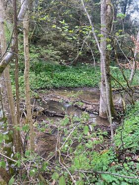 Foto - Grundst&uuml;ck in Albstadt