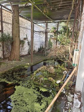 Foto - 6 Zimmer Einfamilienhaus zur Miete in Düsseldorf