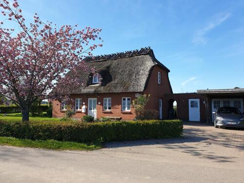 Foto - Reetdach-Häuschen mit Fördeblick zu vermieten