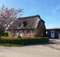 Reetdach-Häuschen mit Fördeblick zu vermieten - Steinbergkirche