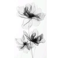 Zimmer zu vermieten – Bremerhaven,