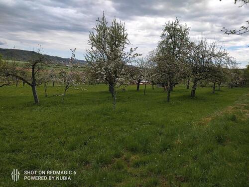 Foto - Garten Gründstücke - 200,00&nbsp;EUR Kaltmiete, ca.&nbsp; 0,00&nbsp;m&sup2;