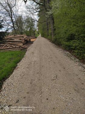 Foto - Grundst&uuml;ck in Tübingen zur Miete