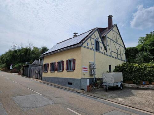 Foto - 12 Zimmer Etagenwohnung zum Kaufen in Gerolsheim