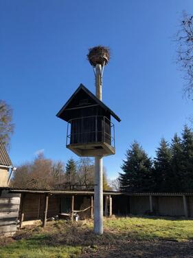 Foto - Einfamilienhaus in Ducherow zum Kaufen