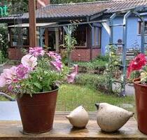 GEGEN GEBOT-HAUS IM WALD-RUHIGE LAGE-JELMSTORFBIENENBÜTTEL WEGE