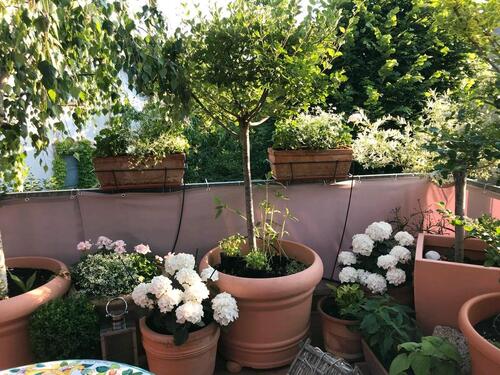 Foto - 4 Zimmer Wohnung zu verkaufen, nicht an MAKLER