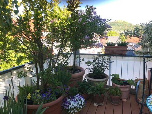 Foto - 4 Zimmer Etagenwohnung in Pfullingen