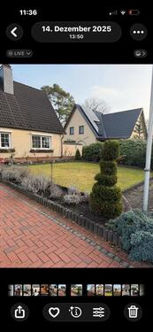 Foto - 3 Zimmer Einfamilienhaus zum Kaufen in Heist