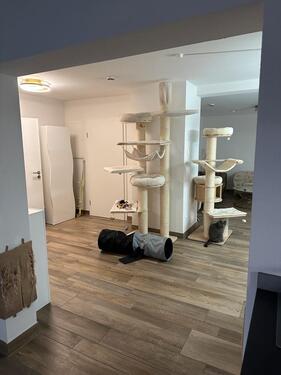 Foto - Hochparterre in Böblingen zur Miete