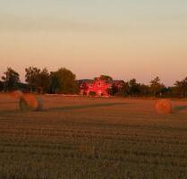 Ferienwohnung an der Ostsee - 65,00&nbsp;EUR Kaltmiete, in Admannshagen-Bargeshagen (PLZ: 18211)