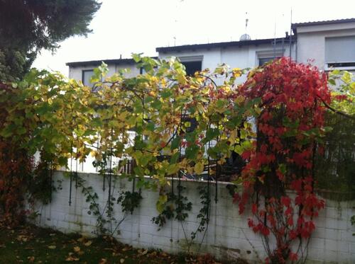 Foto - Wohnung 3 ZKB in Lahnau Atzbach, 99 qm, Terrasse Garten