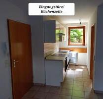 Schöne helle 1 Zi. Wohnung Buchenbach - Neuenburg am Rhein