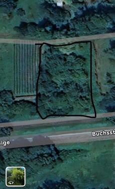 Foto - Freitzeit Grundstück Kochersteinsfeld (alter Weinberg)