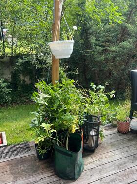 Foto - Erdgeschoßwohnung in Berlin zur Miete