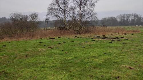 Foto - Grundst&uuml;ck zur Miete in Rendsburg