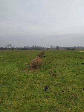 Foto - Grundst&uuml;ck in Rendsburg zur Miete