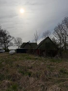 Foto - Einfamilienhaus in Horst (Holstein)