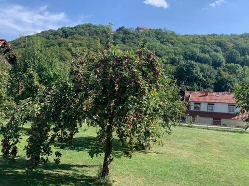 Foto - Sonniges Grundstück - ca.  0,00 m²
