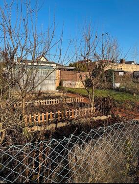 Foto - Kleingarten in Wurzen mit massiver Gartenlaube