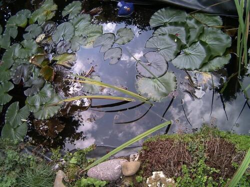 Foto - Dachgeschoßwohnung in Katlenburg-Lindau zur Miete