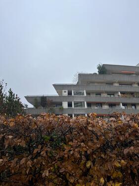 Foto - 3 Zimmer Einfamilienhaus zur Miete in Frankfurt am Main