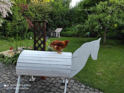 Foto - 6 Zimmer Doppelhaushälfte in Friedberg (Hessen)