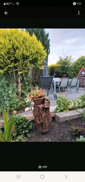Foto - Schrebergarten - 2.700,00 EUR Kaltmiete, ca.  0,00 m²