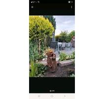 Schrebergarten - 2.400,00 EUR Kaltmiete, ca.  0,00 m² in Wilhelmshaven (PLZ: 26382)