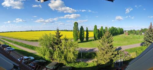 Foto - gepflegte, helle Dachgeschoss Wohnung mit Blick ins Grüne