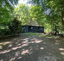 Lindhorster Heide Stilvolles Waldhaus mit Potenzial auf 2500m² - Seevetal Hagolt