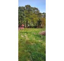 Resthof mit 7990 qm - 299.000,00 EUR Kaufpreis, ca. 100,00 m² in Ehrenburg (PLZ: 27248) Resthof mit 7990 qm - 299.000,00 EUR Kaufpreis, ca. 100,00 m² in Ehrenburg (PLZ: 27248)