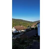 3 Zimmer Wohnung, Wintergarten, Kamin, Sauna, Hundezwingeranlage - Helsa