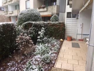 Foto - 