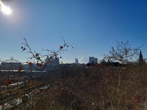 Foto - 1 Zimmer Etagenwohnung zur Miete in Heikendorf