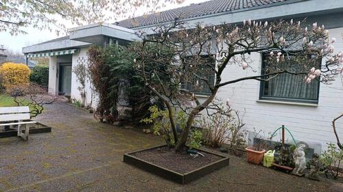 Foto - 11 Zimmer Einfamilienhaus zum Kaufen in Münster