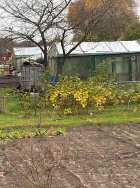 Foto - Grundst&uuml;ck in Hohenlockstedt zur Miete