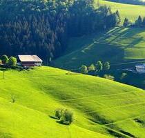 Familienfreundliche 3-Zimmer-Wohnung mit großem Balkon im Grünen - Münstertal/Schwarzwald