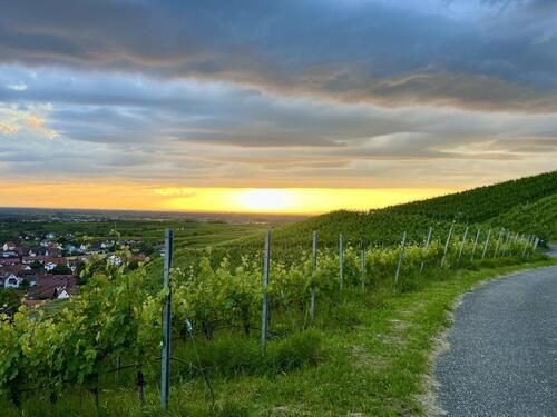 Foto - andere zur Miete in Bühl
