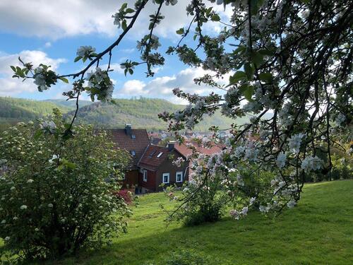 Foto - Mehrgenerationenhaus mit 3 Wohnungen und schönem Garten
