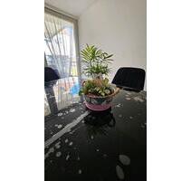 Einfamilienhaus in Duisburg Rheinhausen top Lage mit eigenem